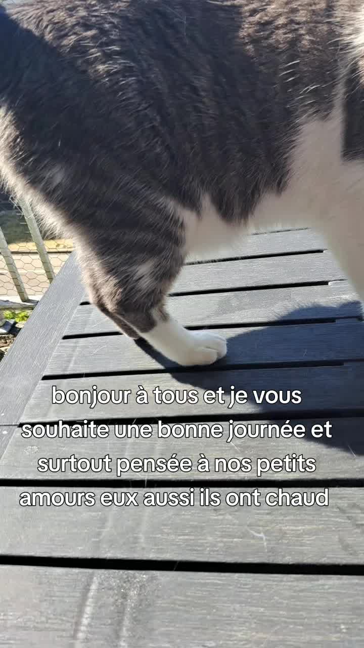 @gege 69