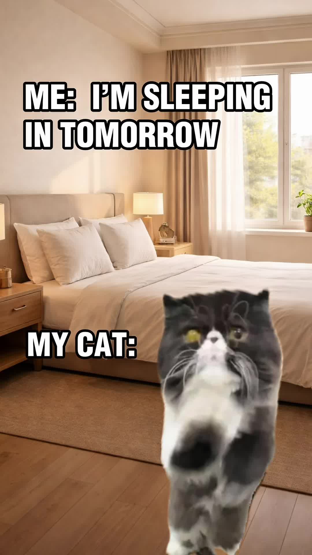 @Walter Bishop The Cat