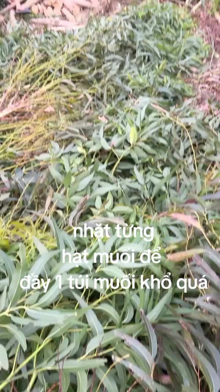 @Ki&ecirc;n xe ben 14