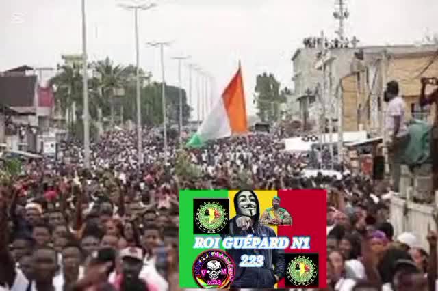 @ROI GU&Eacute;PARD N&deg;1 223 🇲🇱