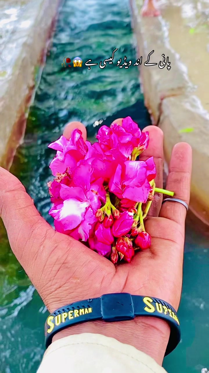 @🍂🌾 پنجابی کلچر 🌾🍂