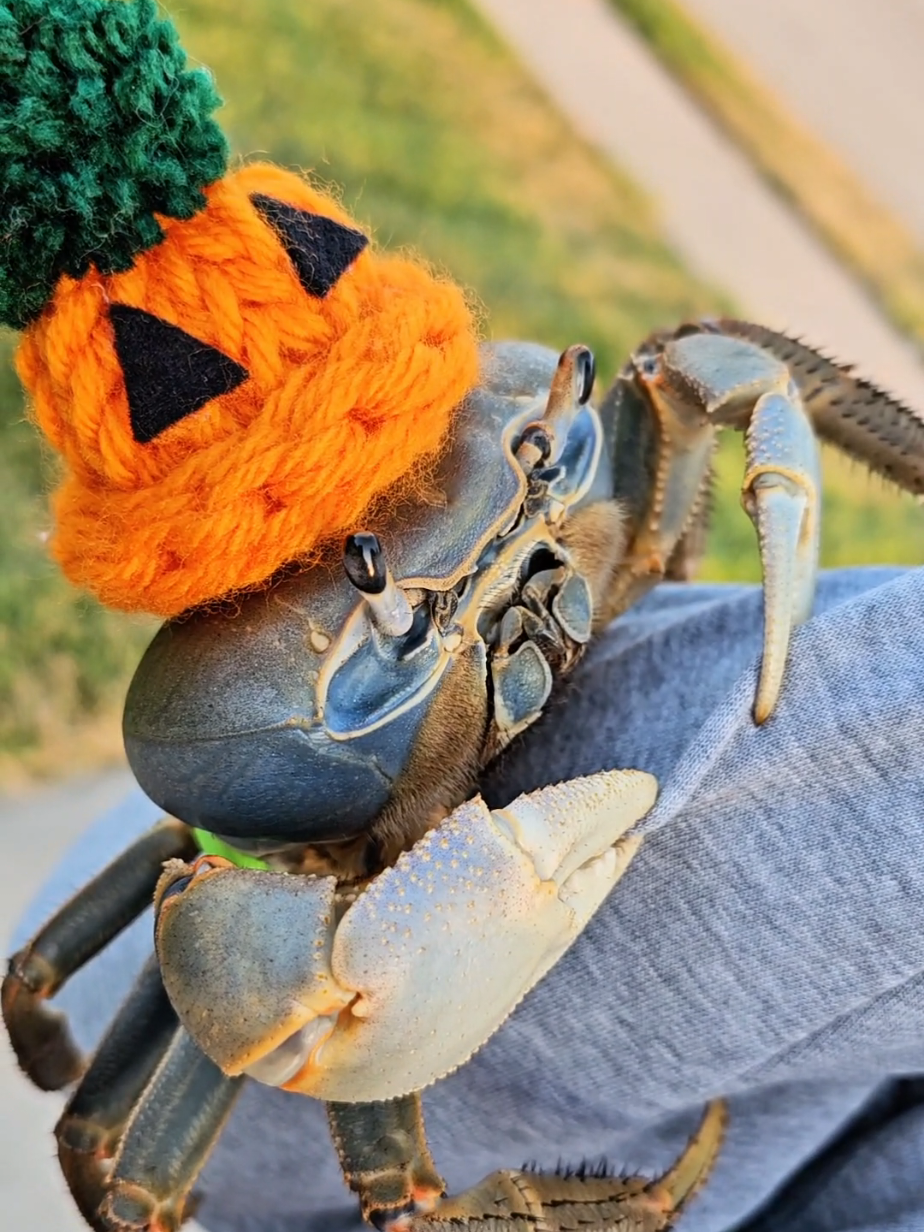 @Howie The Crab