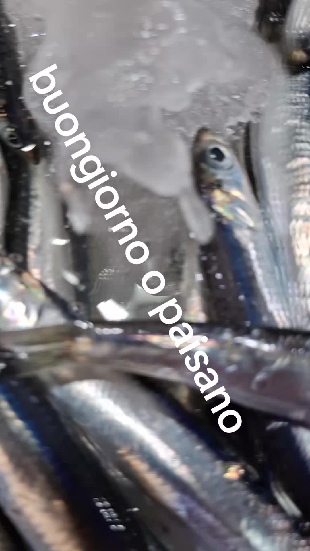 @Antimo cavaliere o paesano