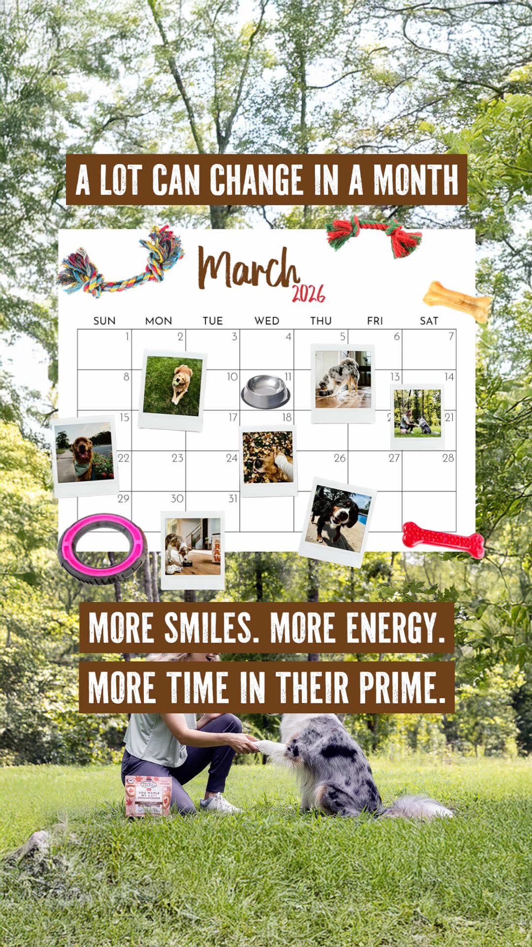 @Primal Pet