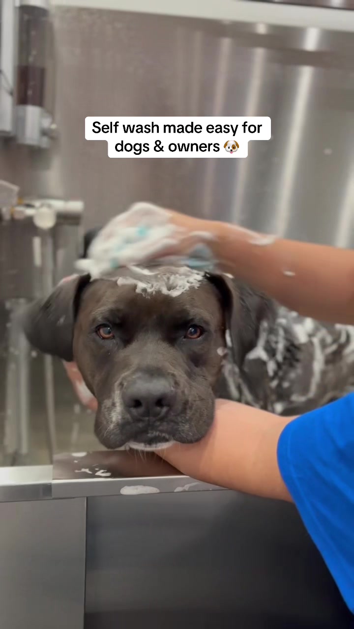 @dogwashla