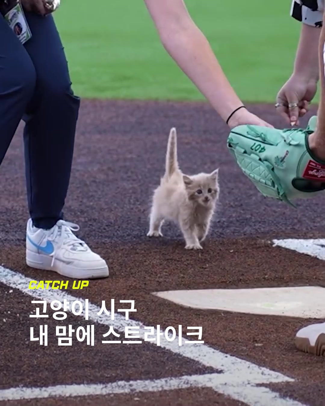 @이슈&트렌드 | 케찹