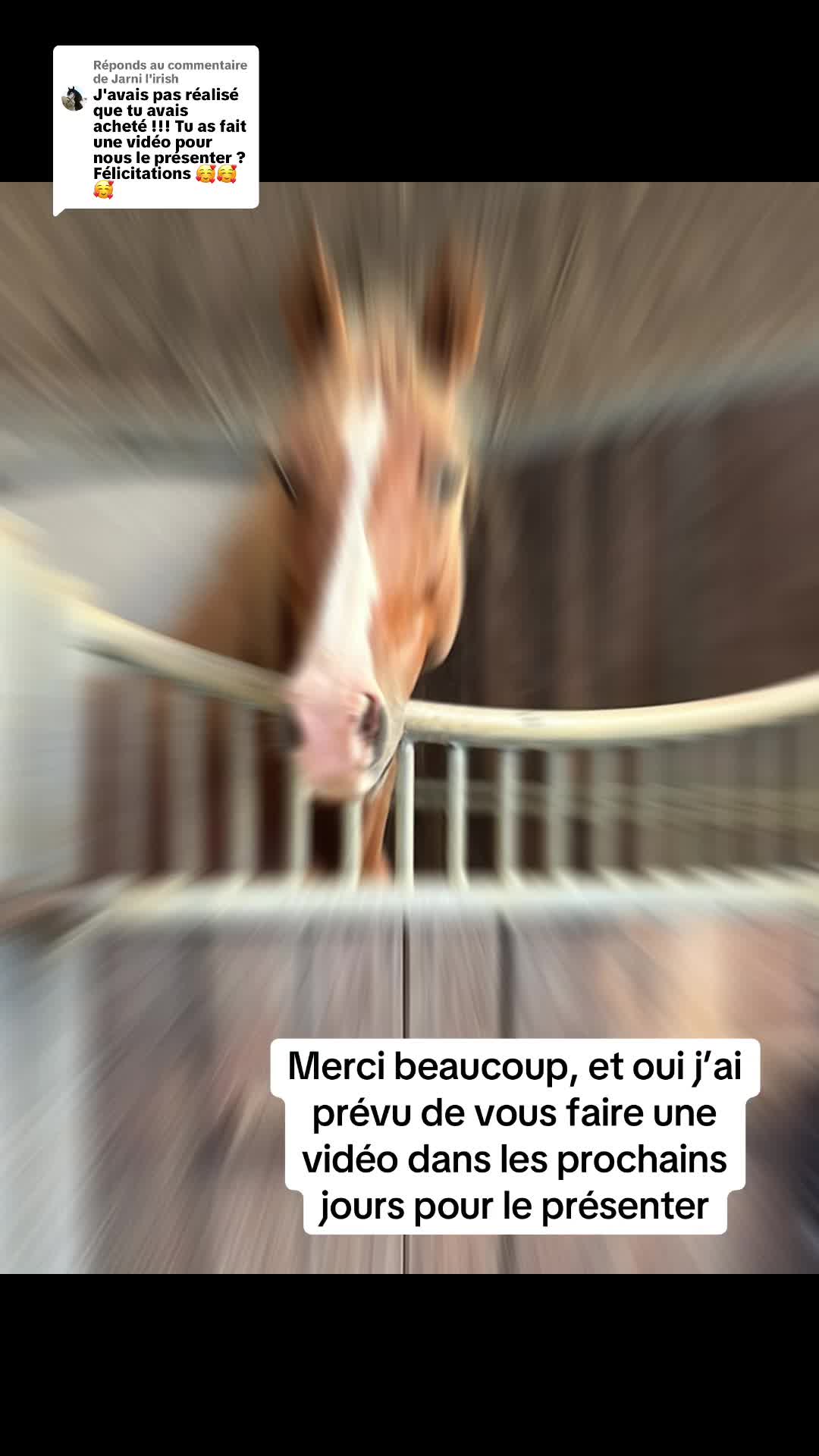 @Emmaparadressage