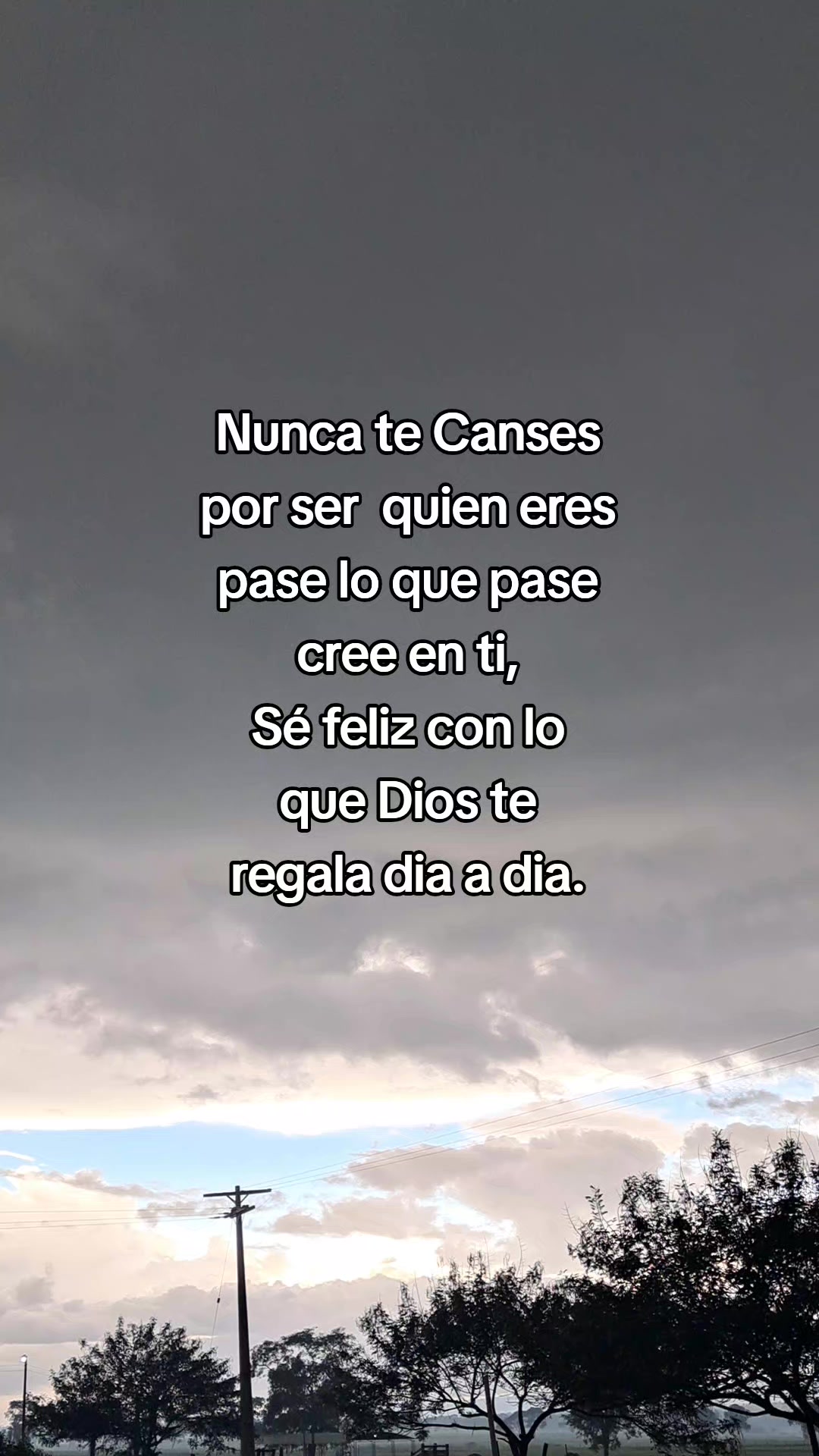 @Rossy🧃✨