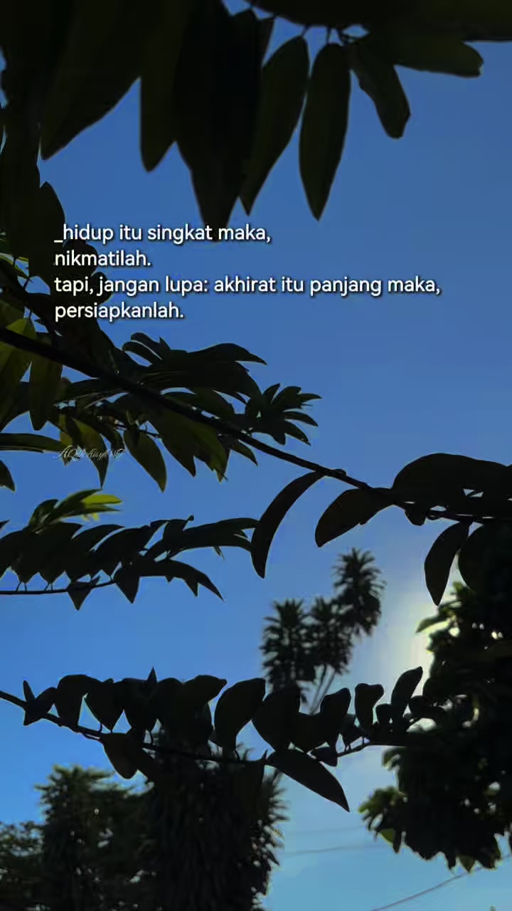 @AQilah Aisyah WT