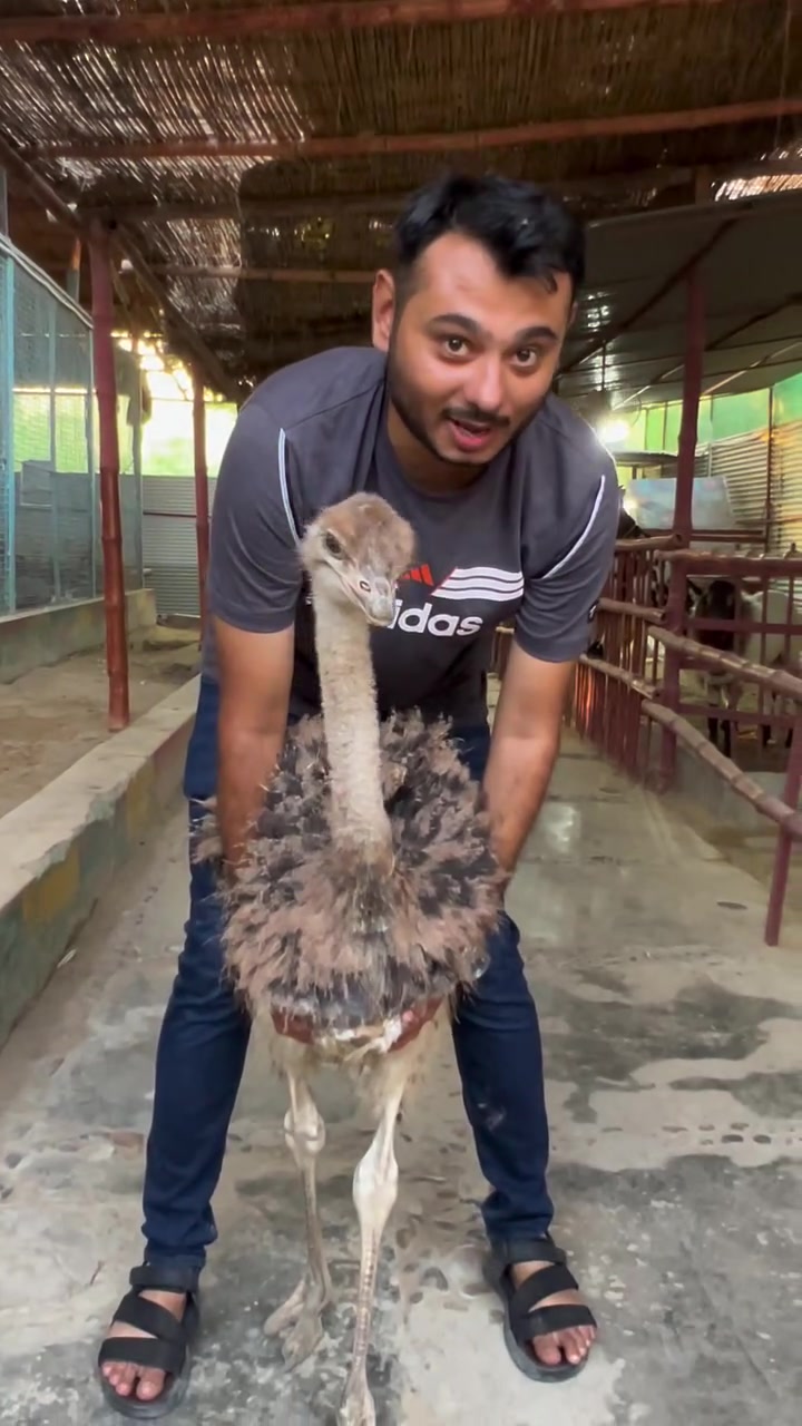 @jimmy_junaid_zoologist