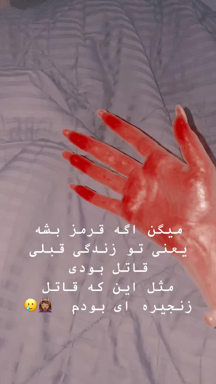 @Rayka
