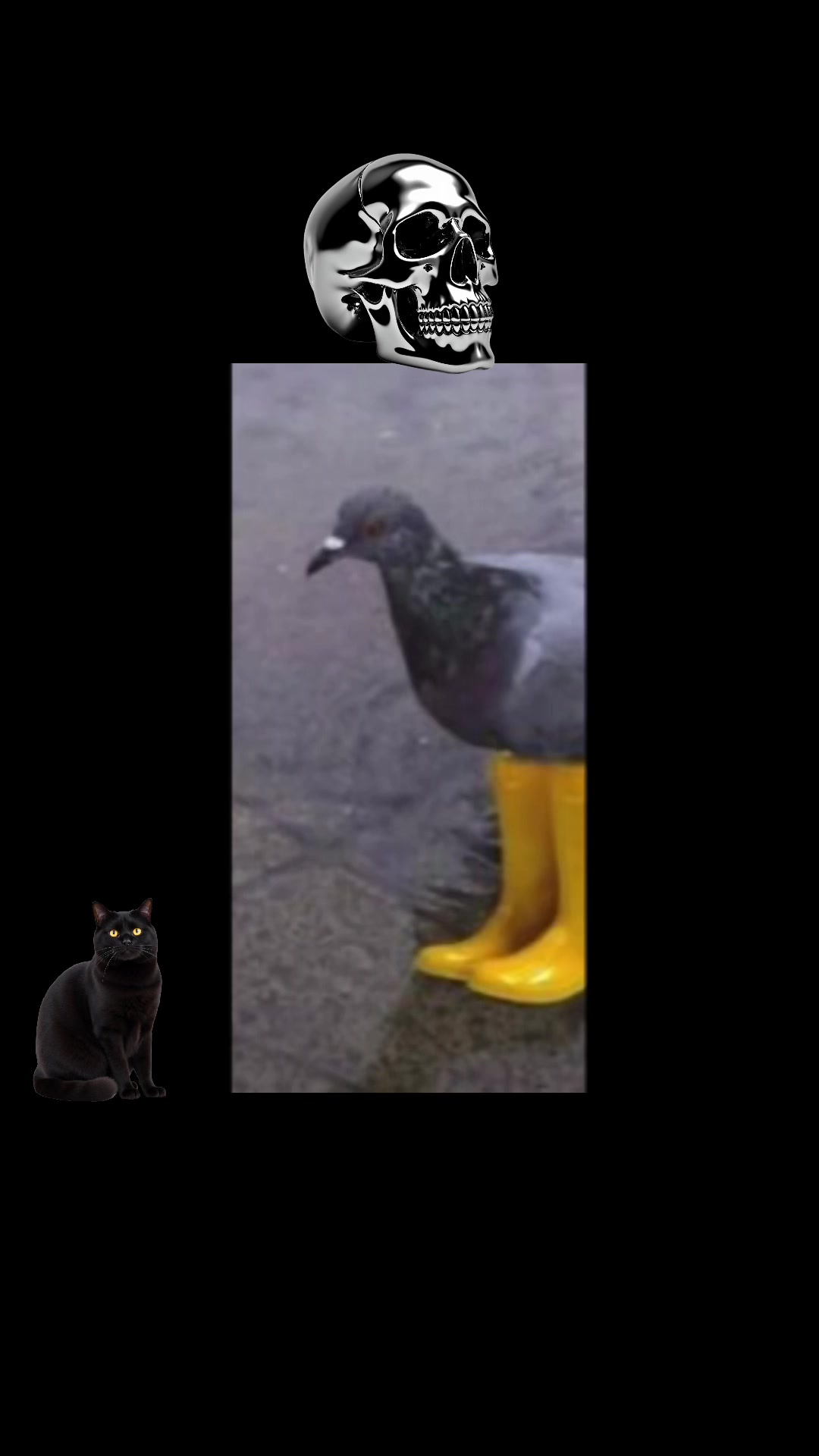 @rupert666