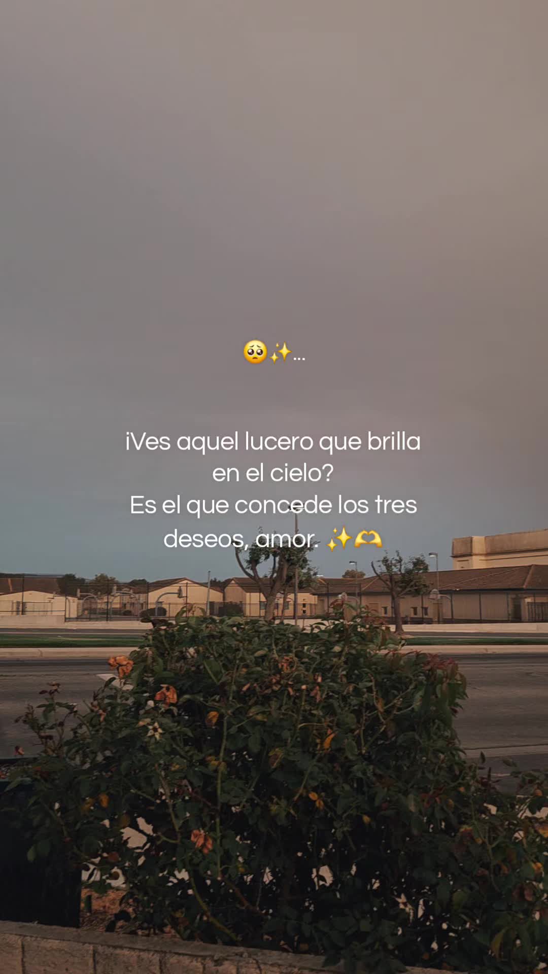 @🦋🤍Monic@🦋
