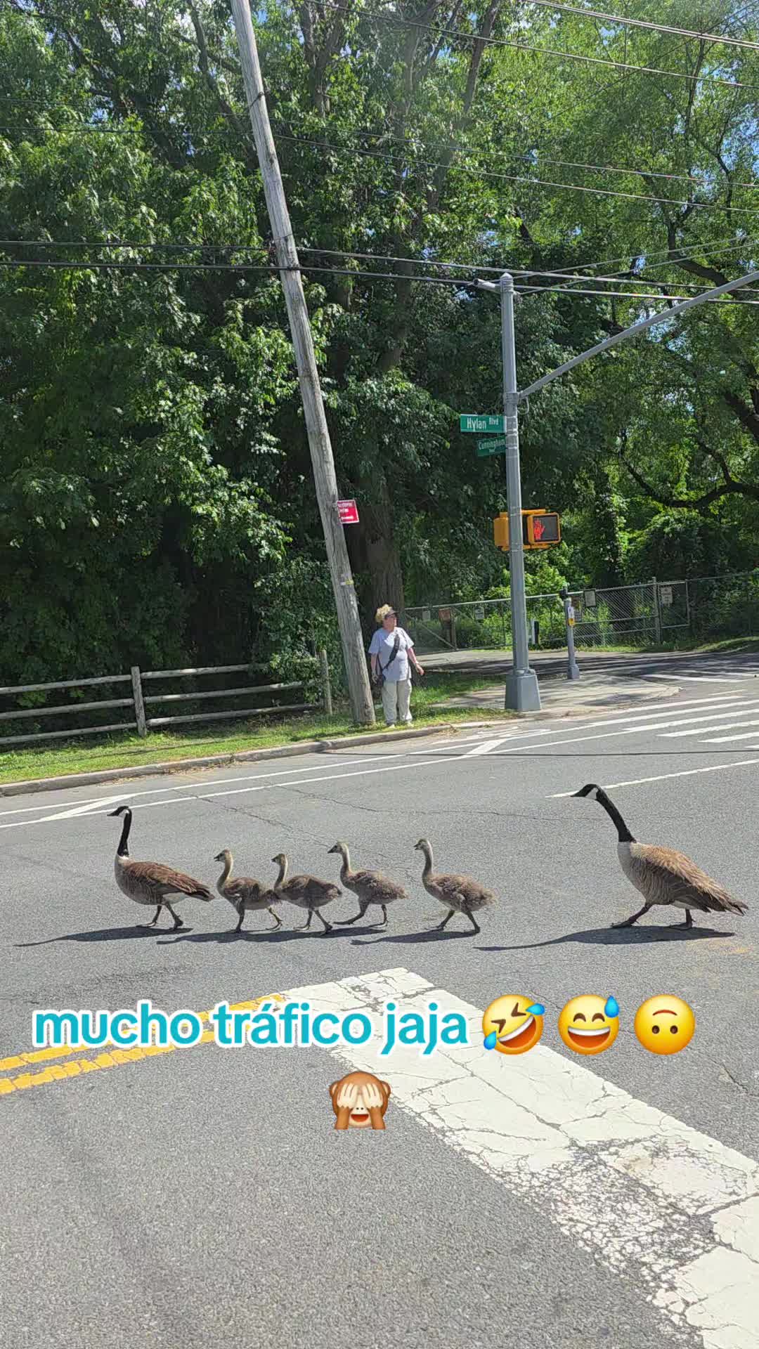 @✈️🐿️ Ļᴜʟᴜ 👁️⃤🎀ᝰ.