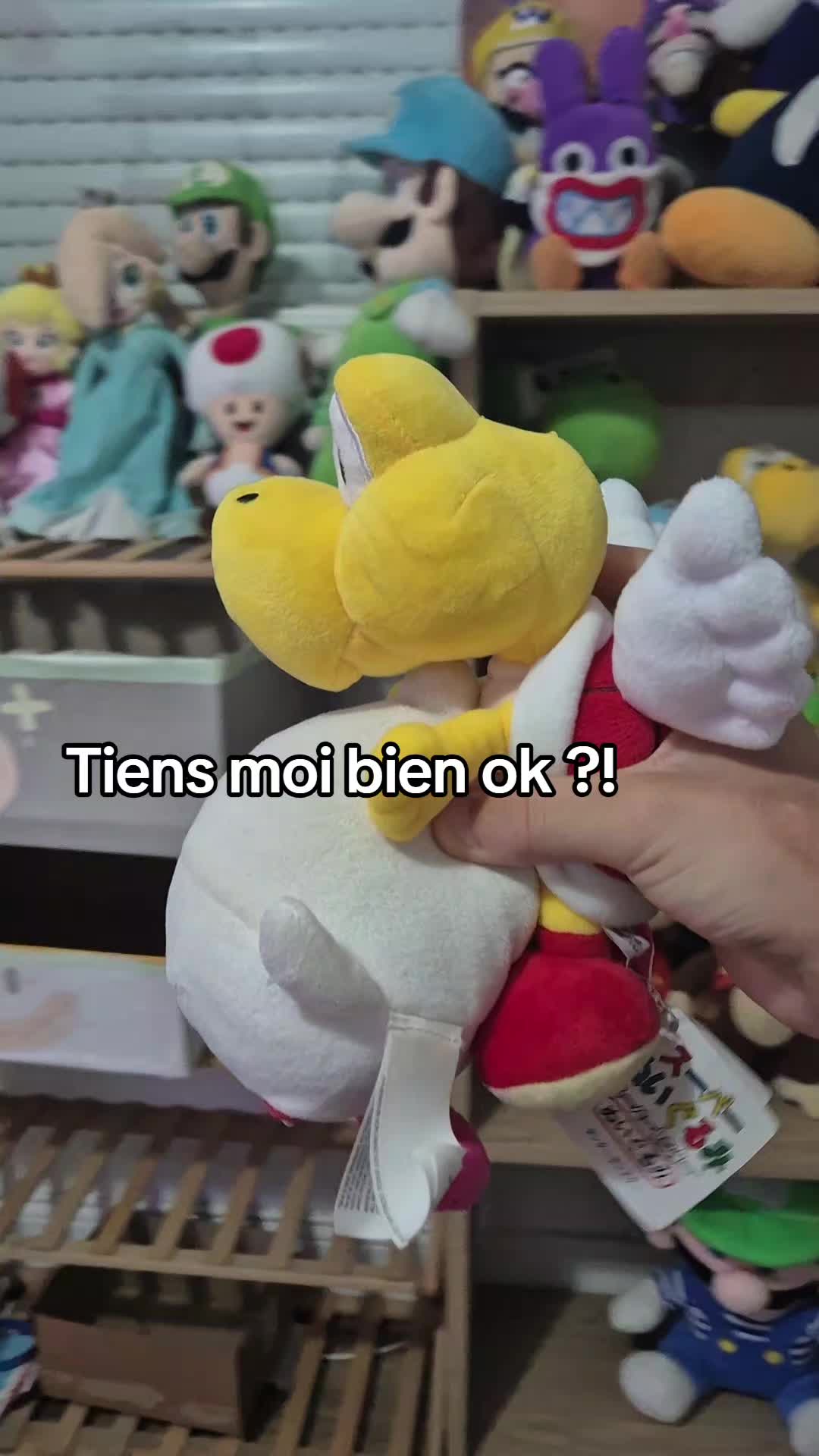 @peluchemario64