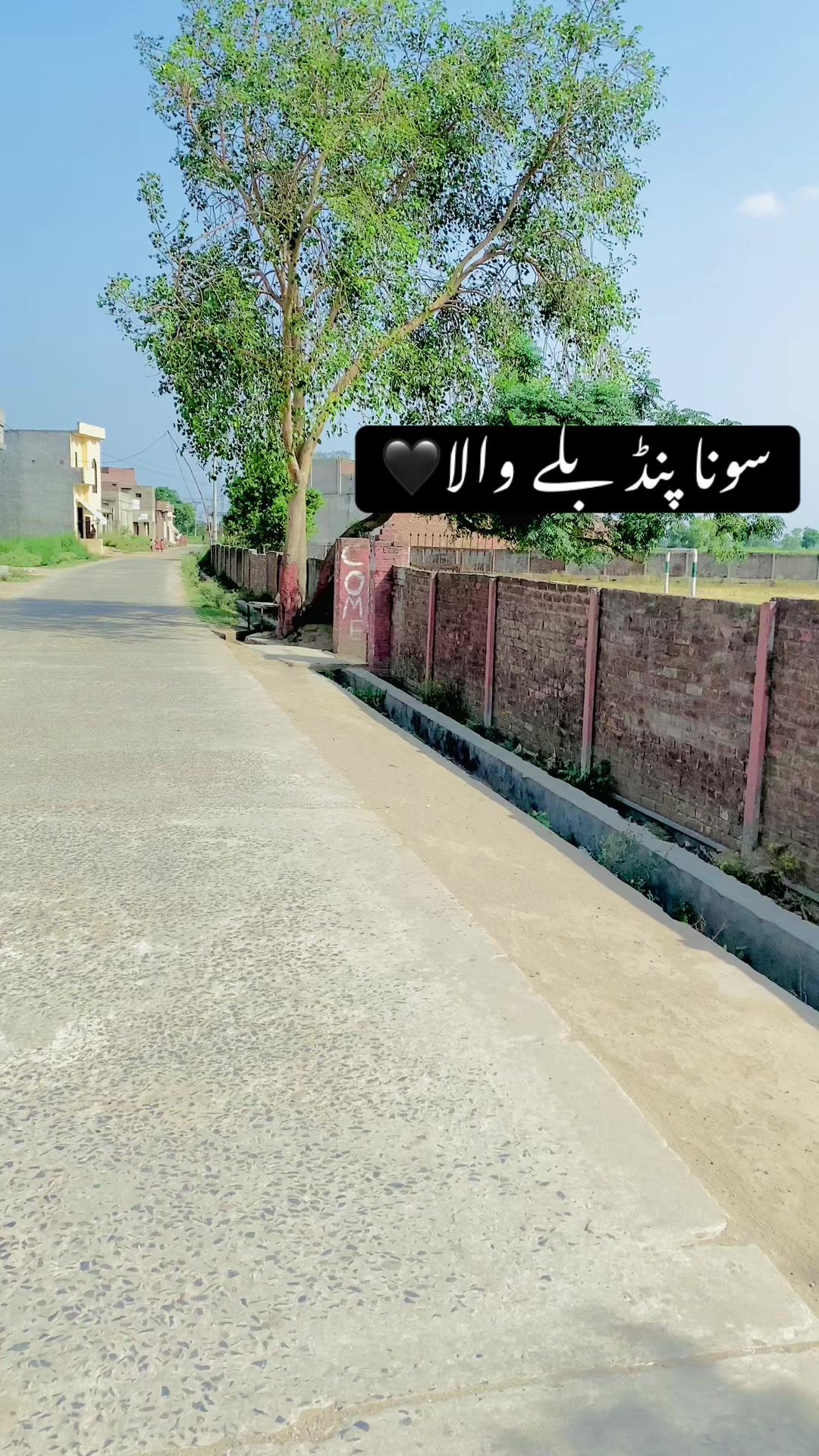 @سونا پنجاب 🌾🍂🥀