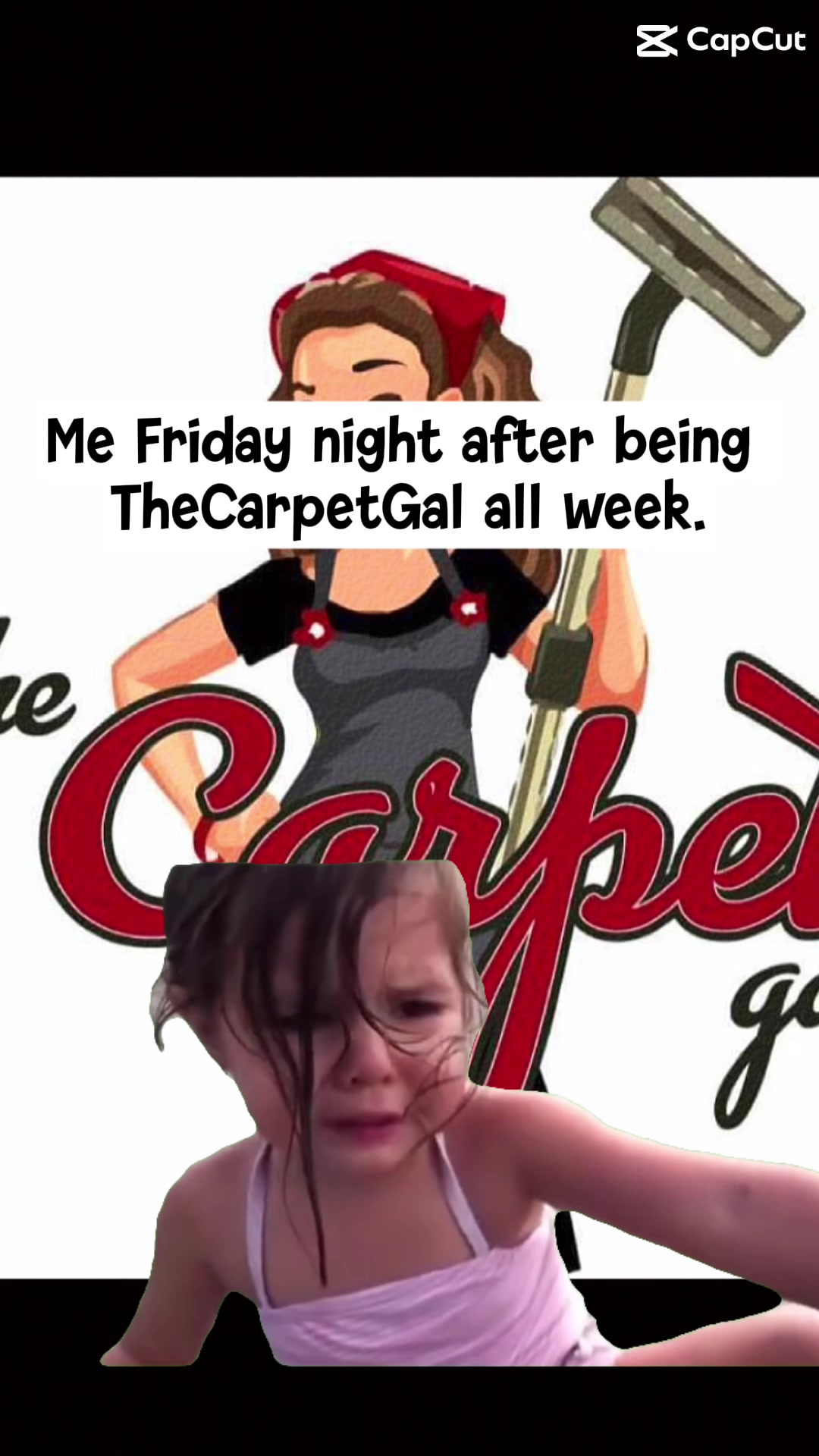 @TheCarpetGal-Cleaning Service