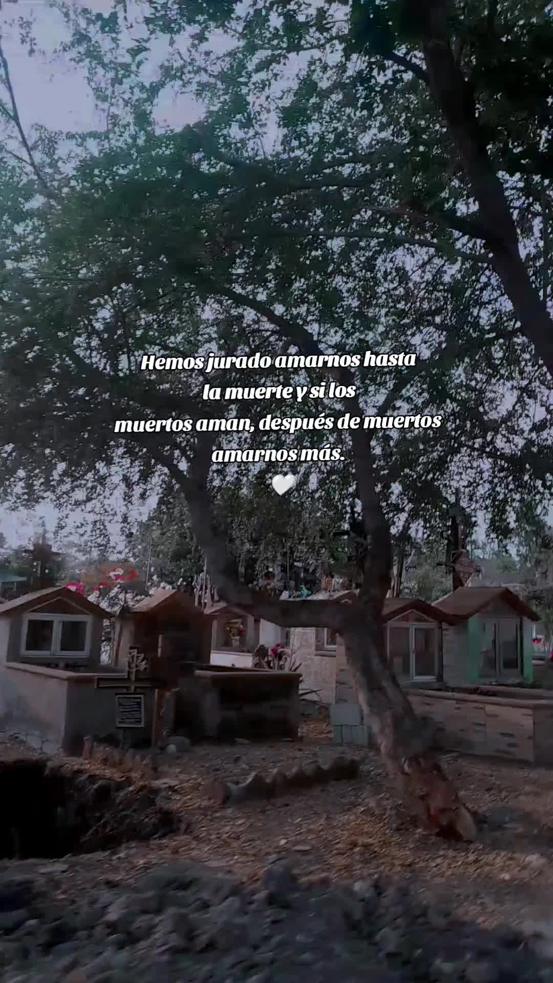 @️Rockelita