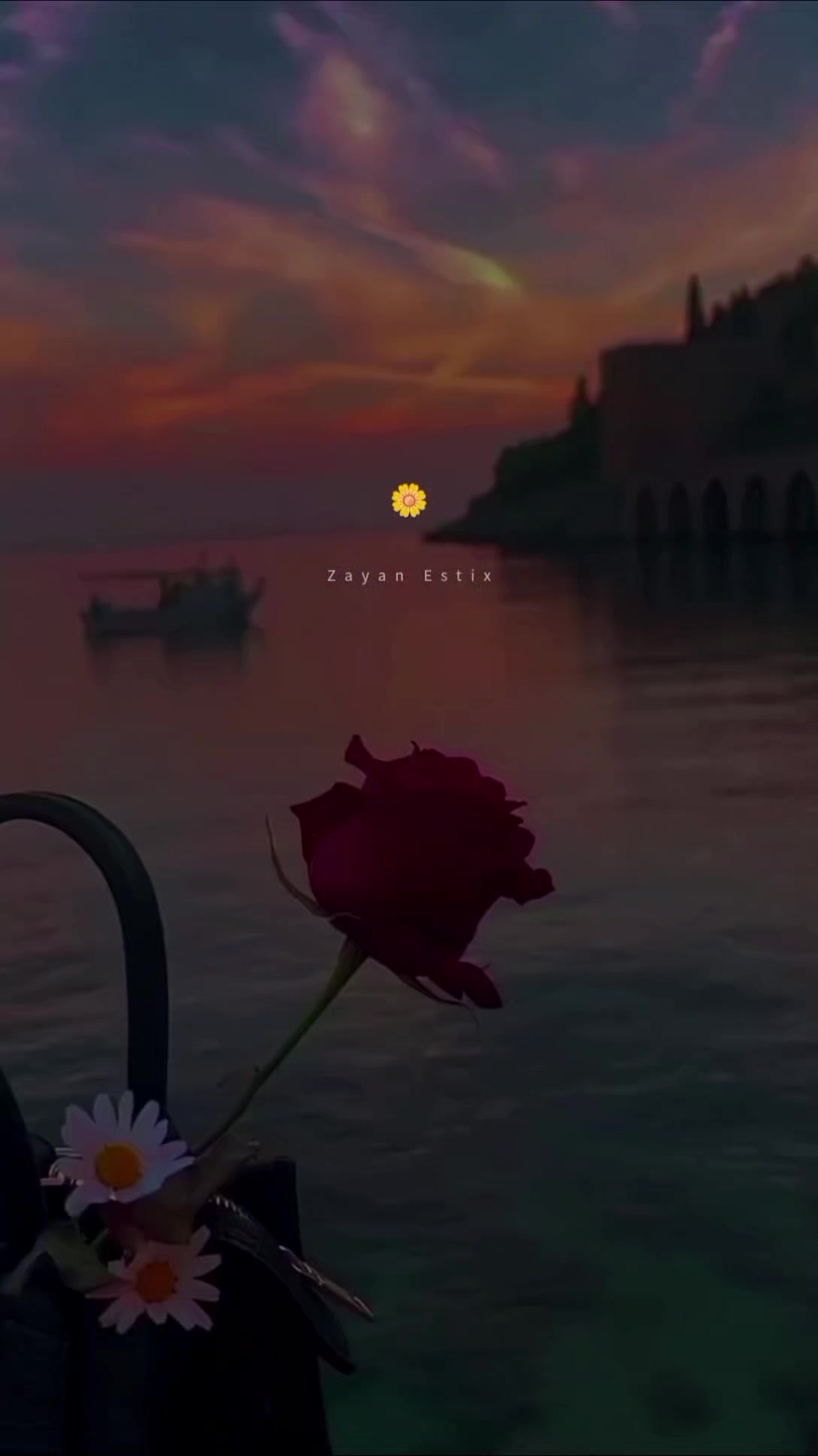 @Zayan_16🕊️