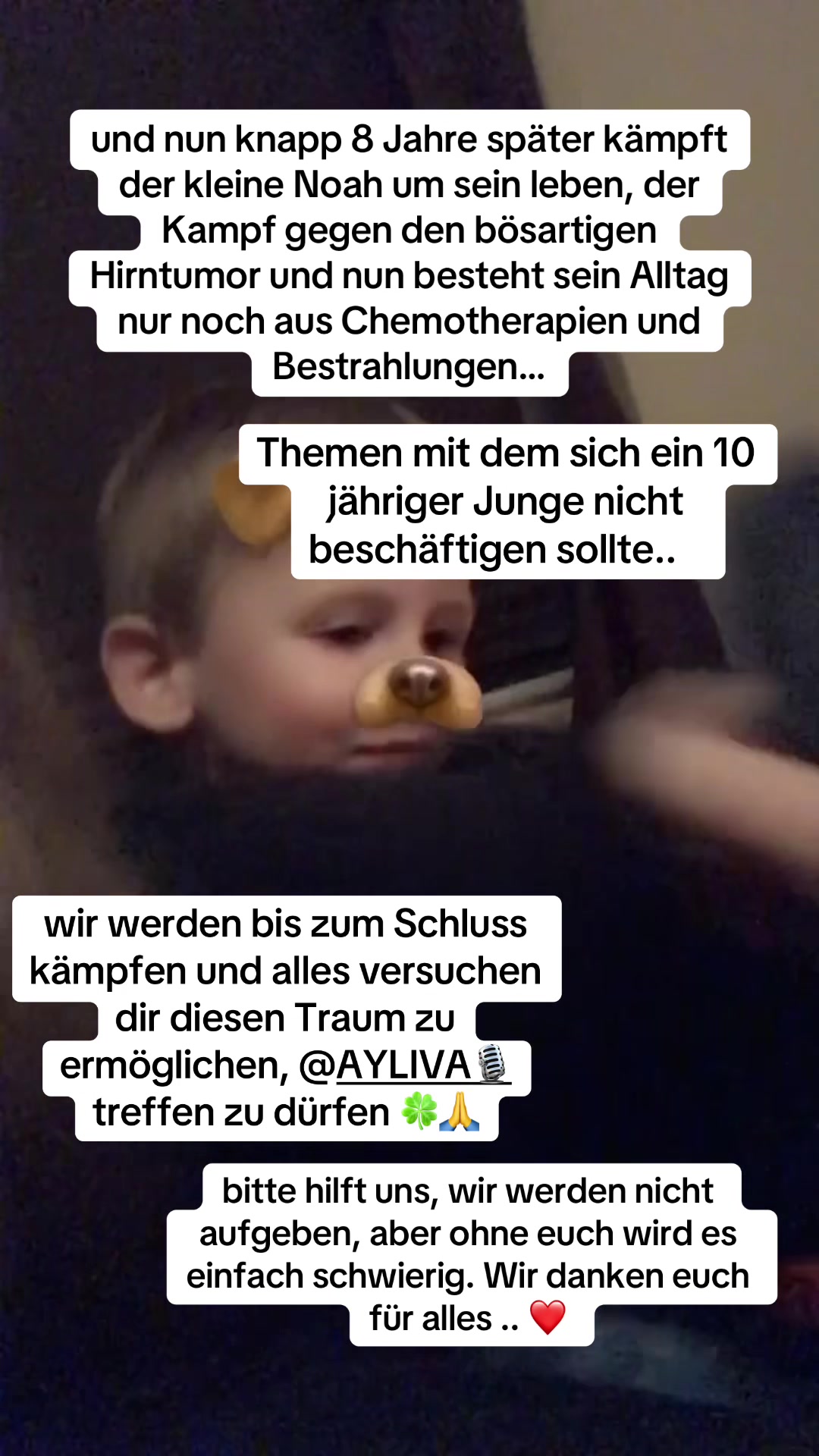 @ྀིnoahs Herzenswunsch