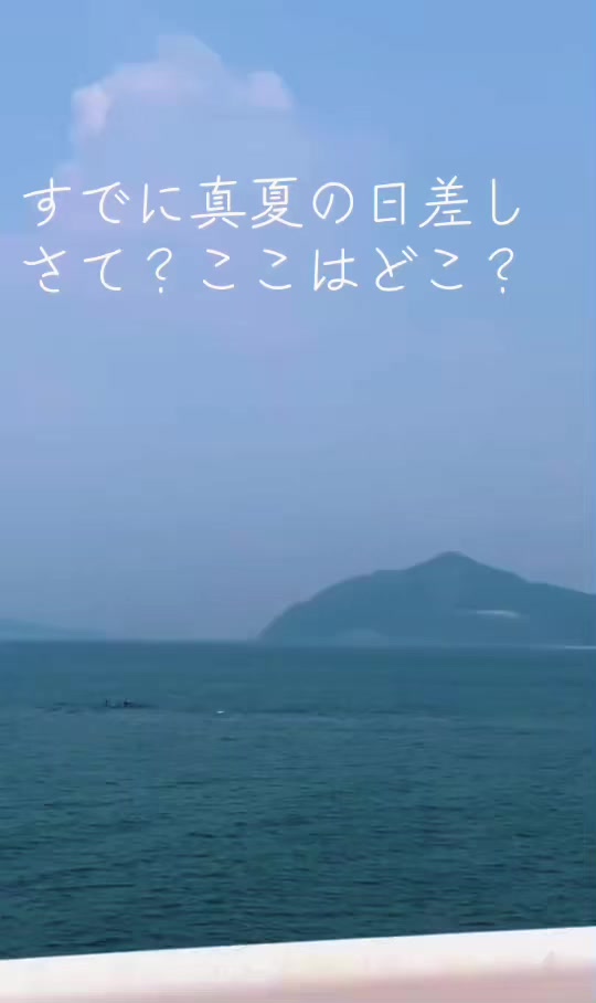 @初代　博多助六🏮