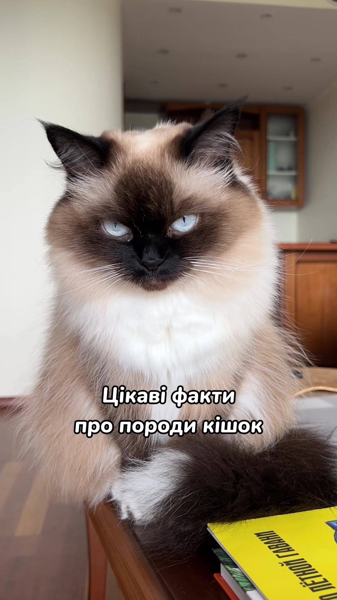 @Місс КІСЯ