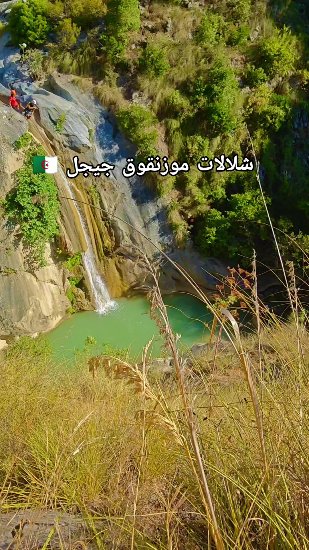 @Into the Wild