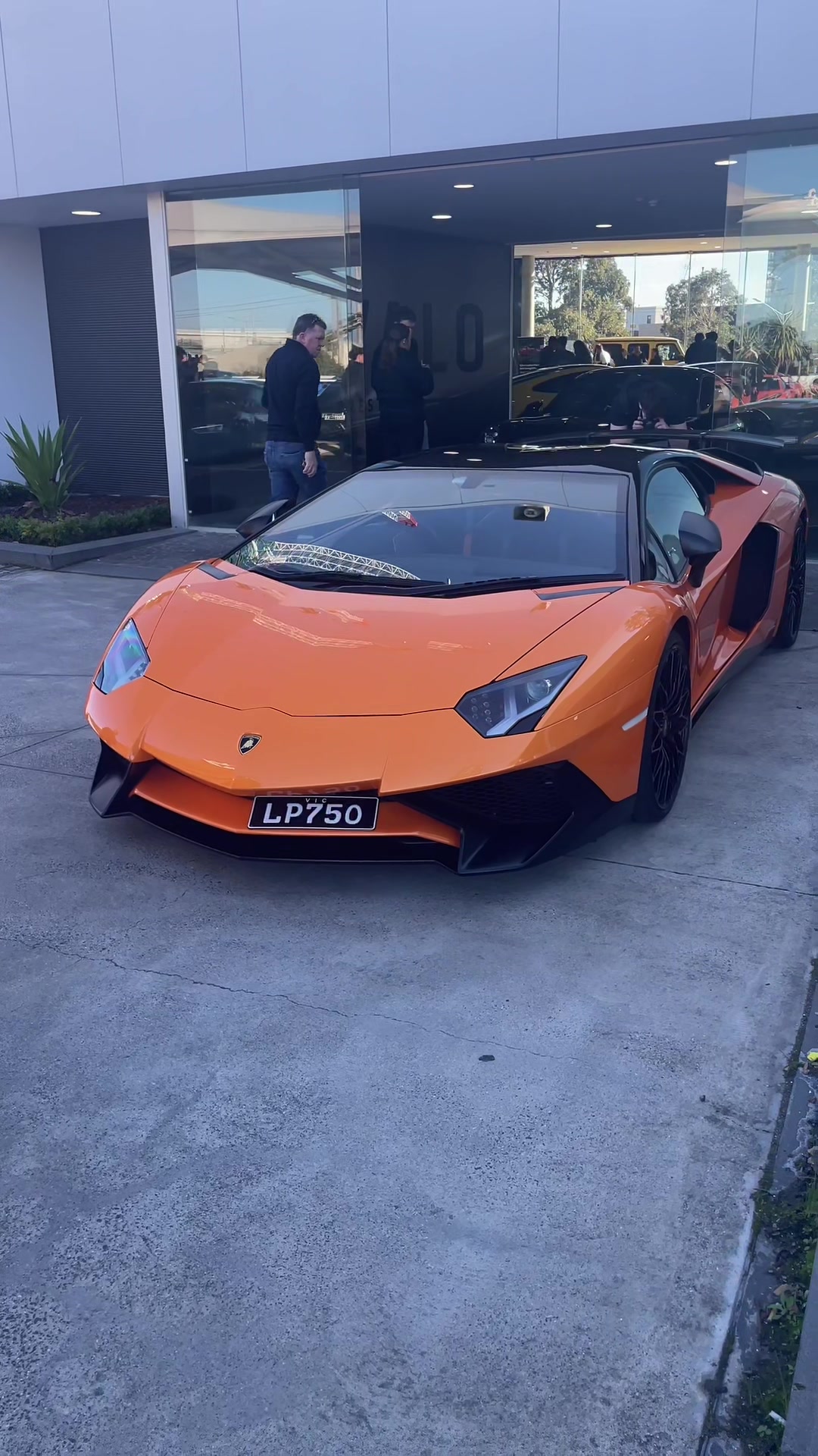 @Curts Cars Melbourne