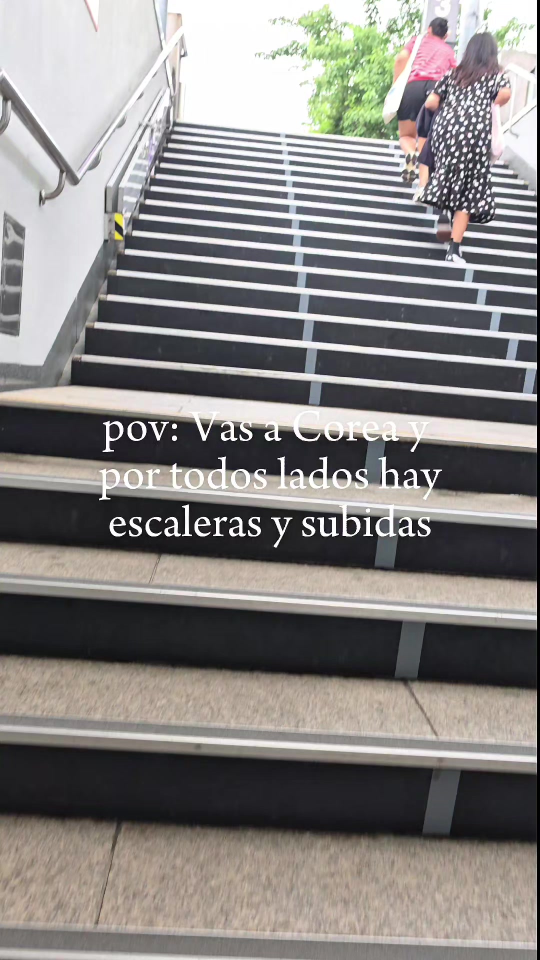 @serendi_pao