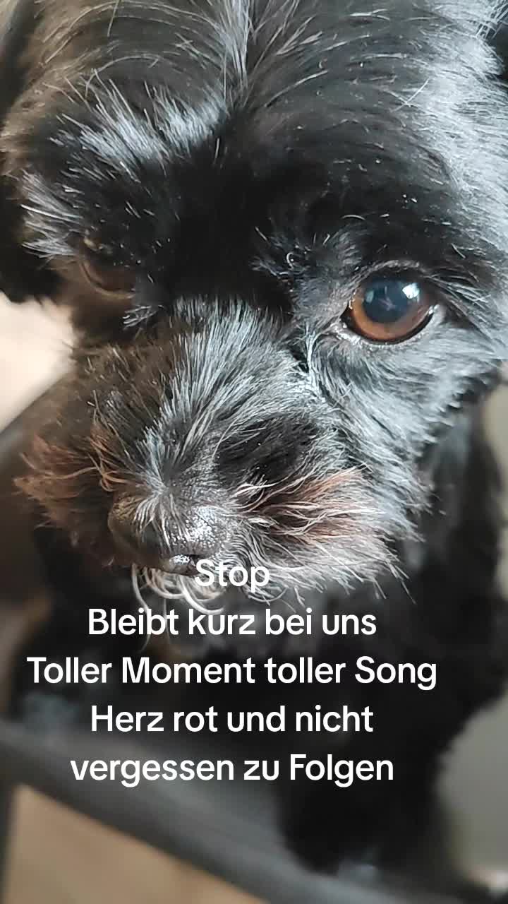 @P&ouml;ppi