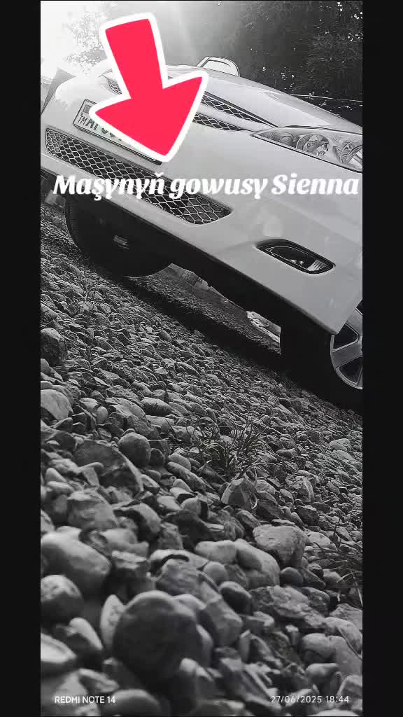 @Baýram