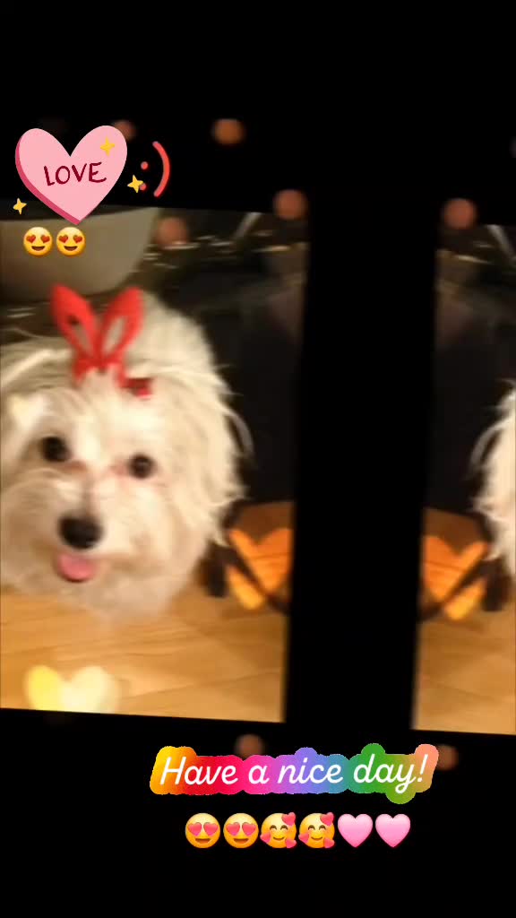 @Mirabell🥰Queen of the Wheel🚌