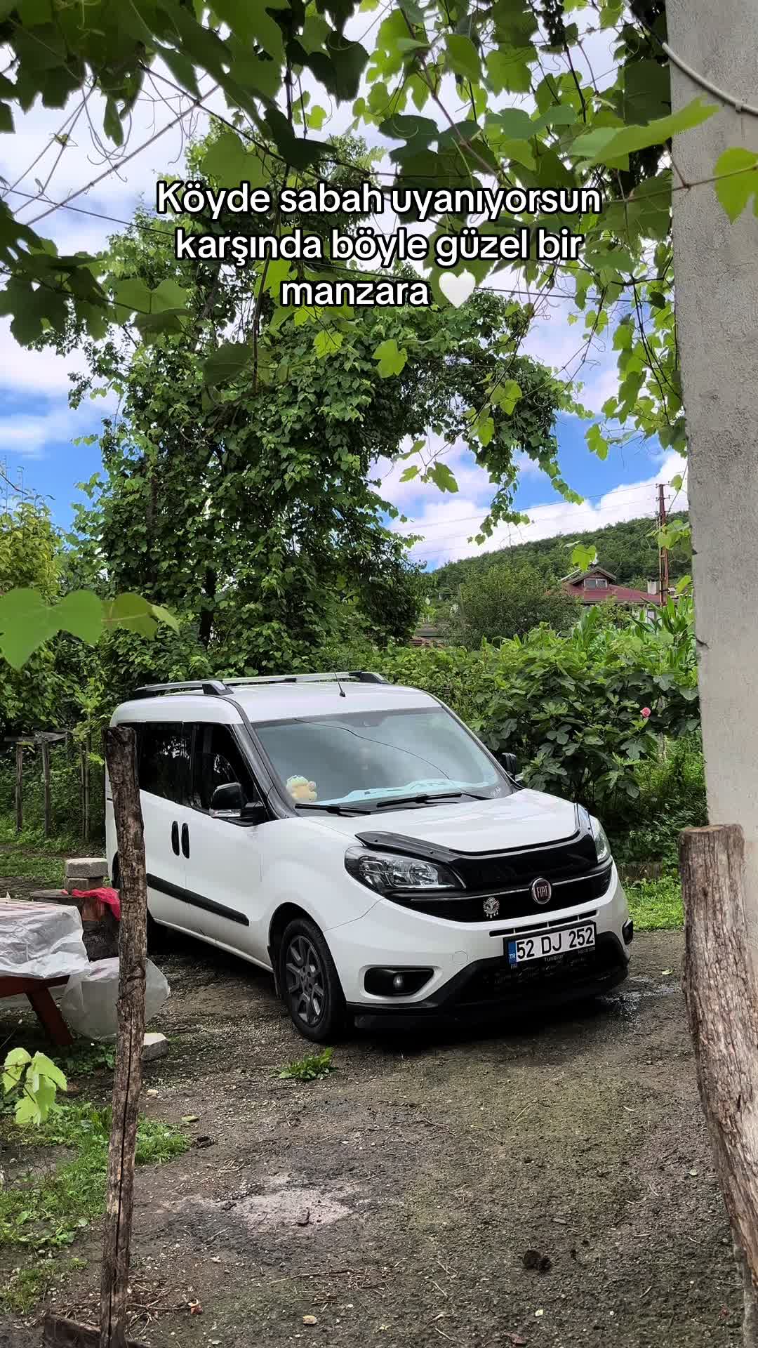 @Mertcan Asılı