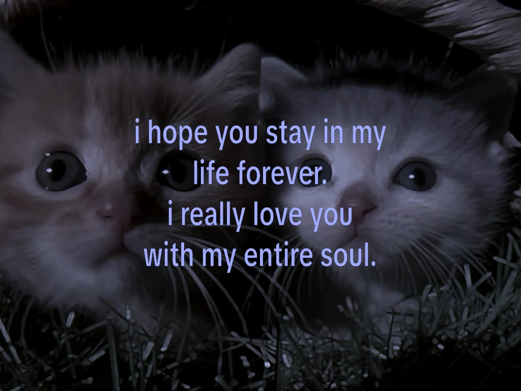 @see you later