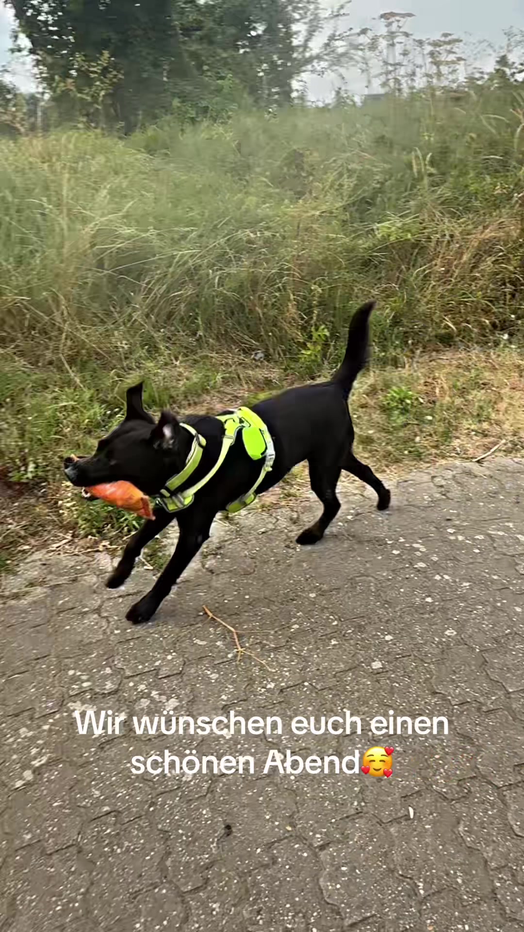 @Tanja
