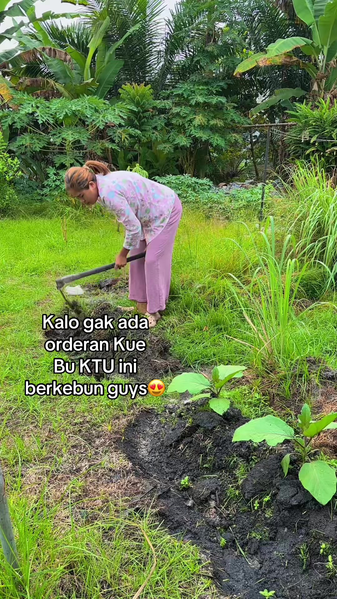 @Farida Pello