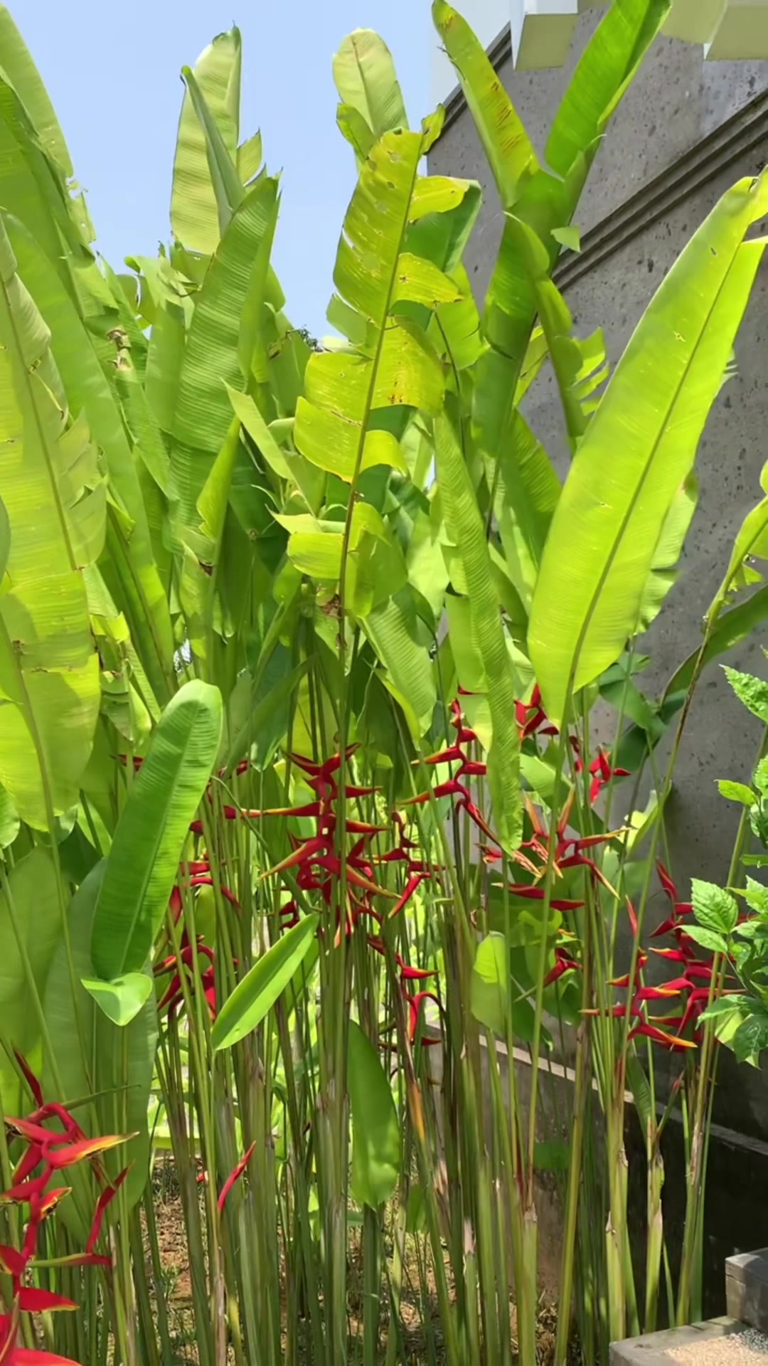@Tiệm L&aacute; Nhỏ