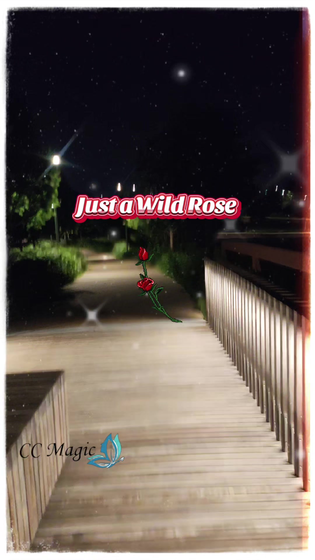 @𝐂𝐀𝐑𝐎𝐋𝐘𝐍  CC
