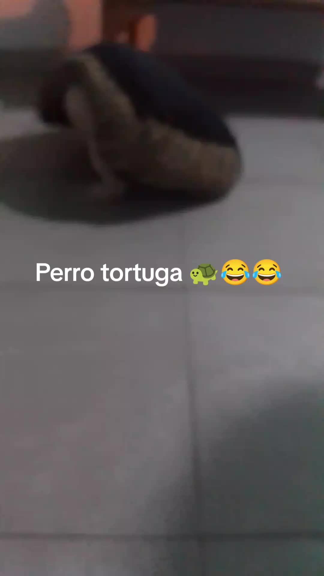 @Marlie Parra