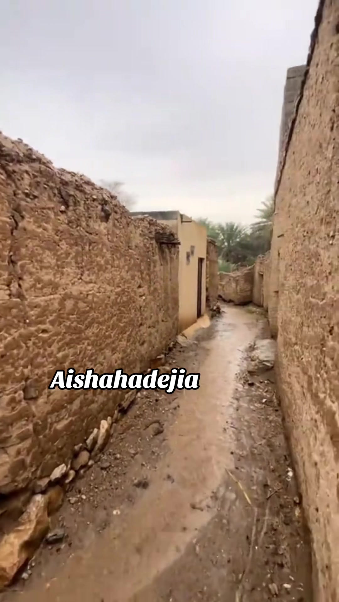 @🦋AISHA🦋