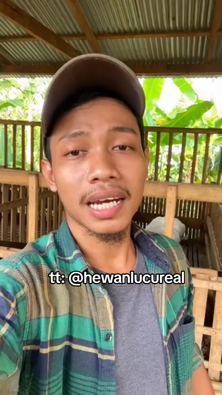 @Hewan Lucu🥰
