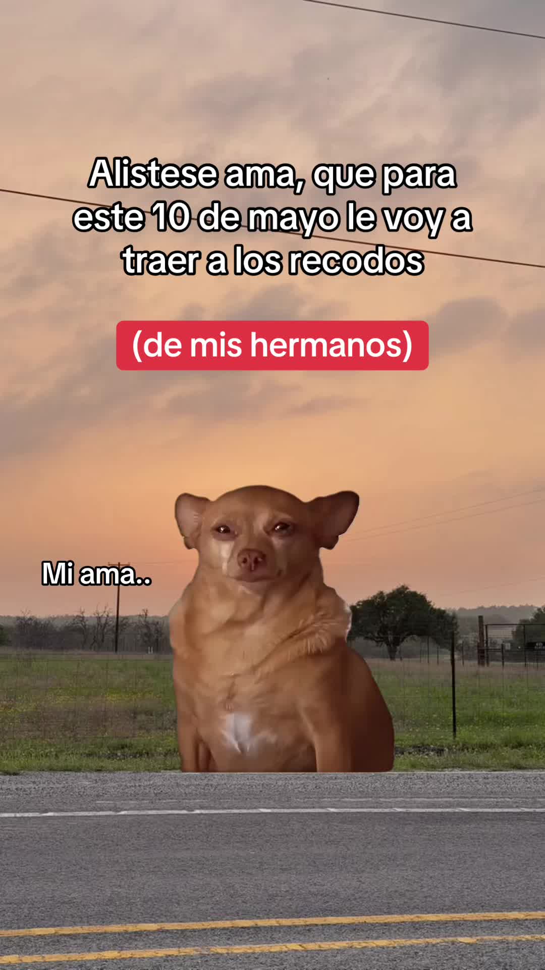 @El Trevol