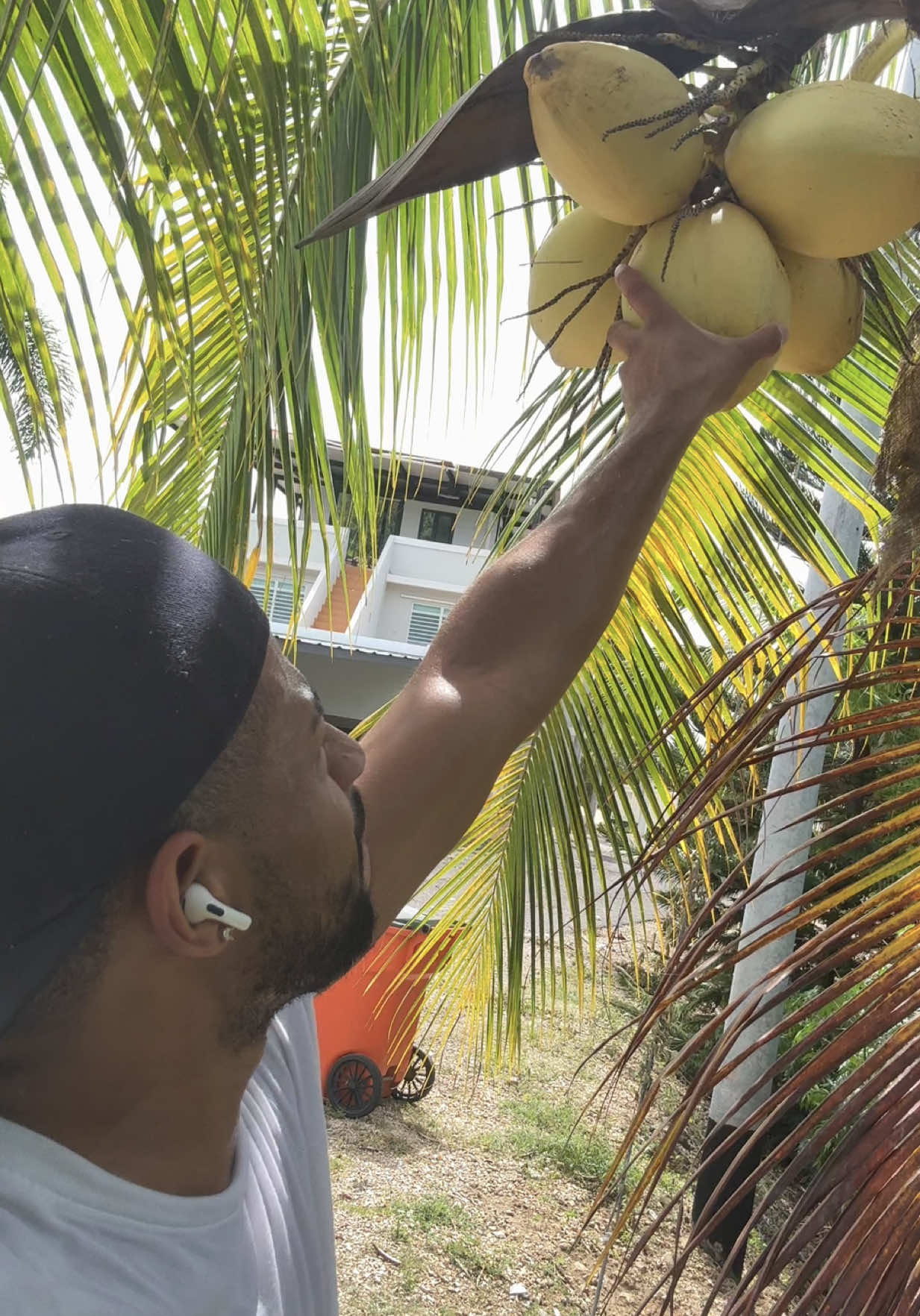 @Belton Tyrone 🇵🇷