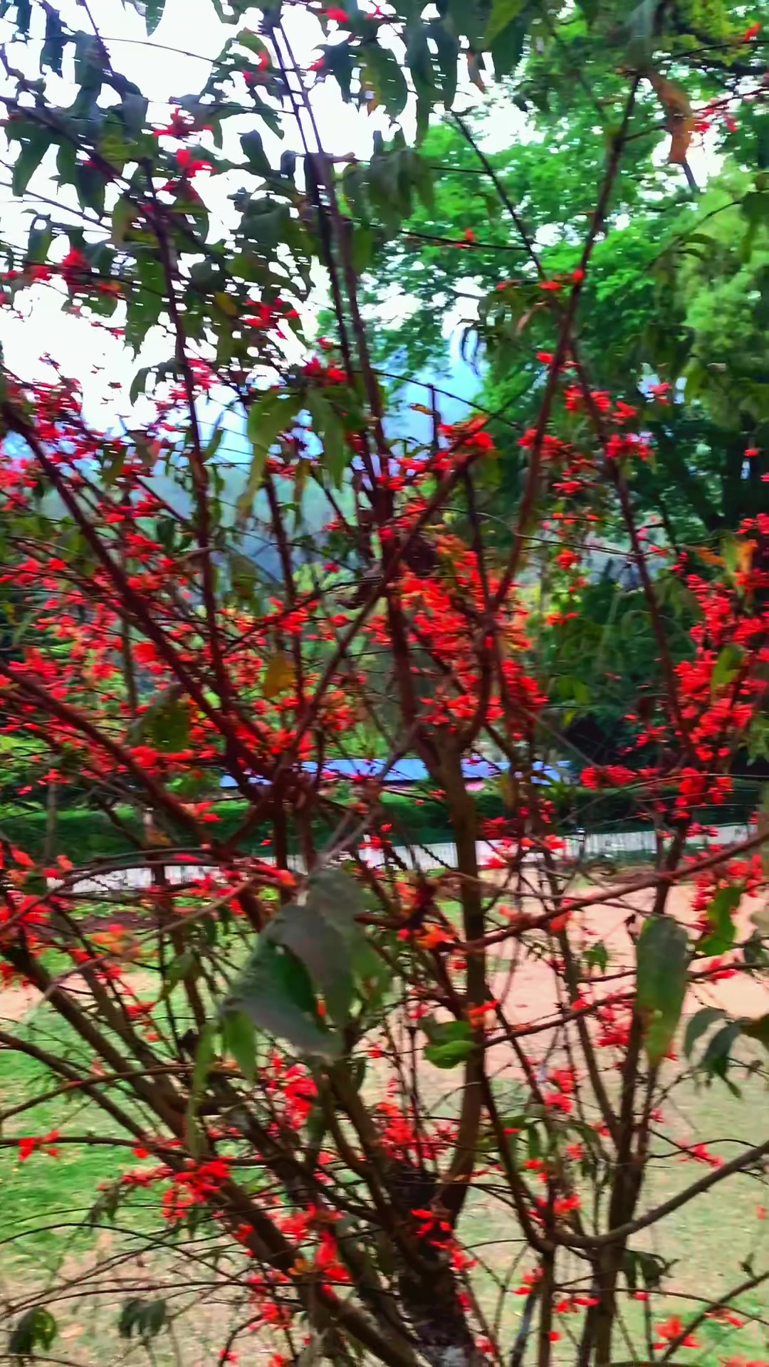 @प्रकृति