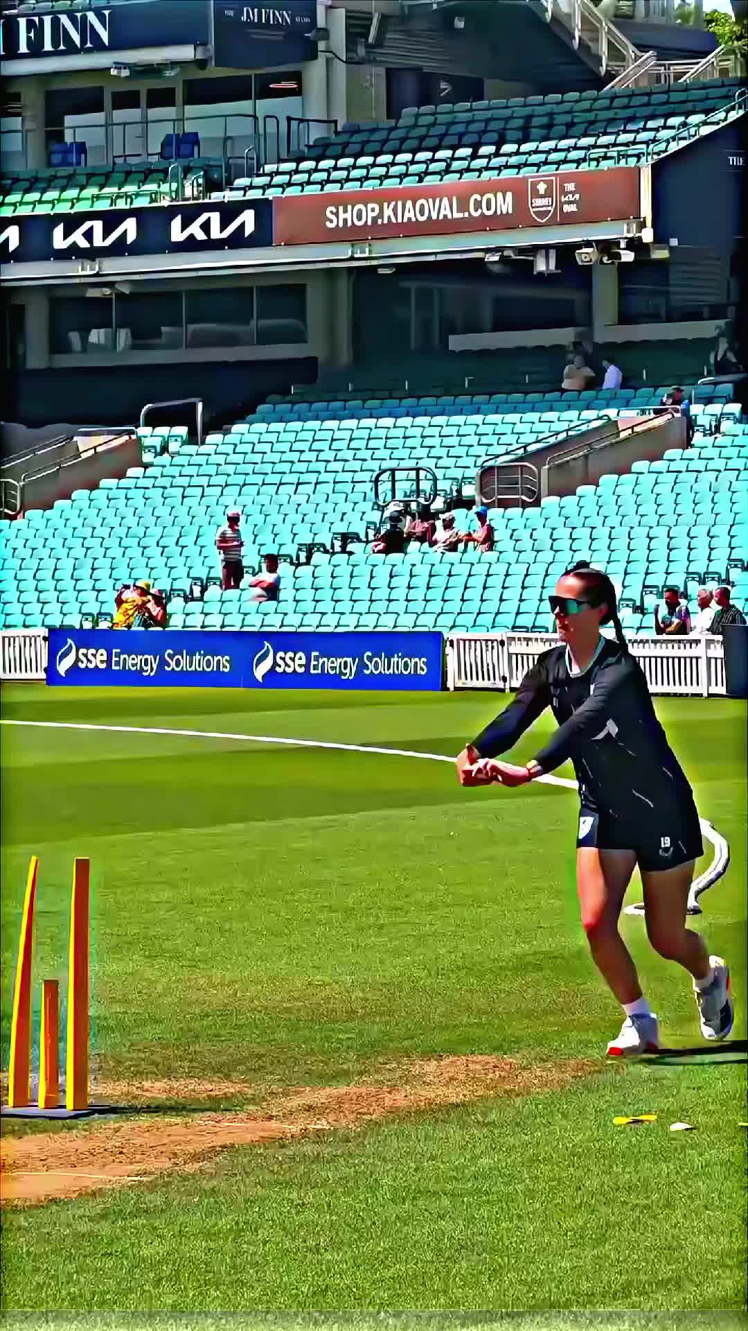 @Ellyse perry