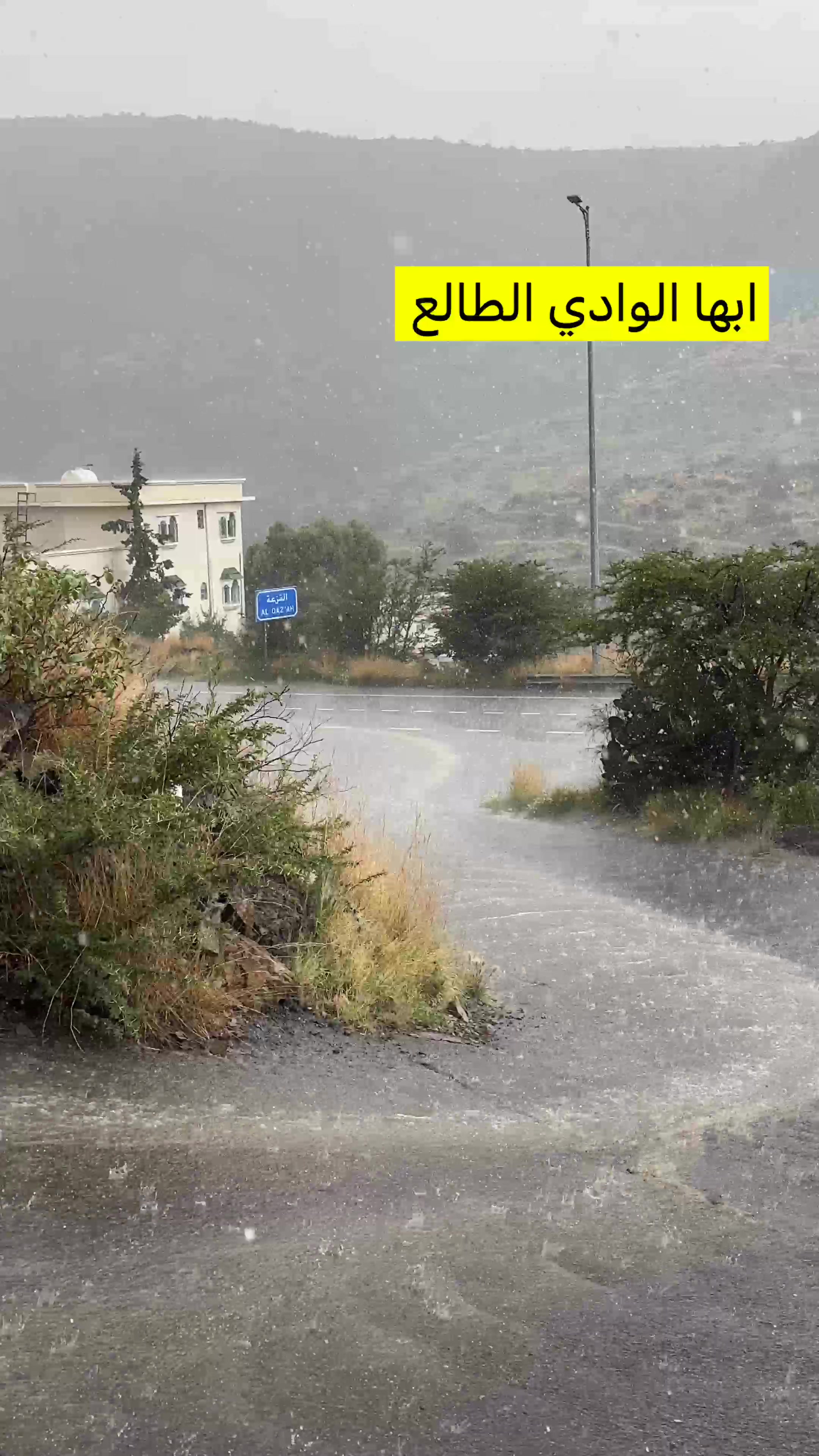 @المدينة المنورة (غيم ومطر)