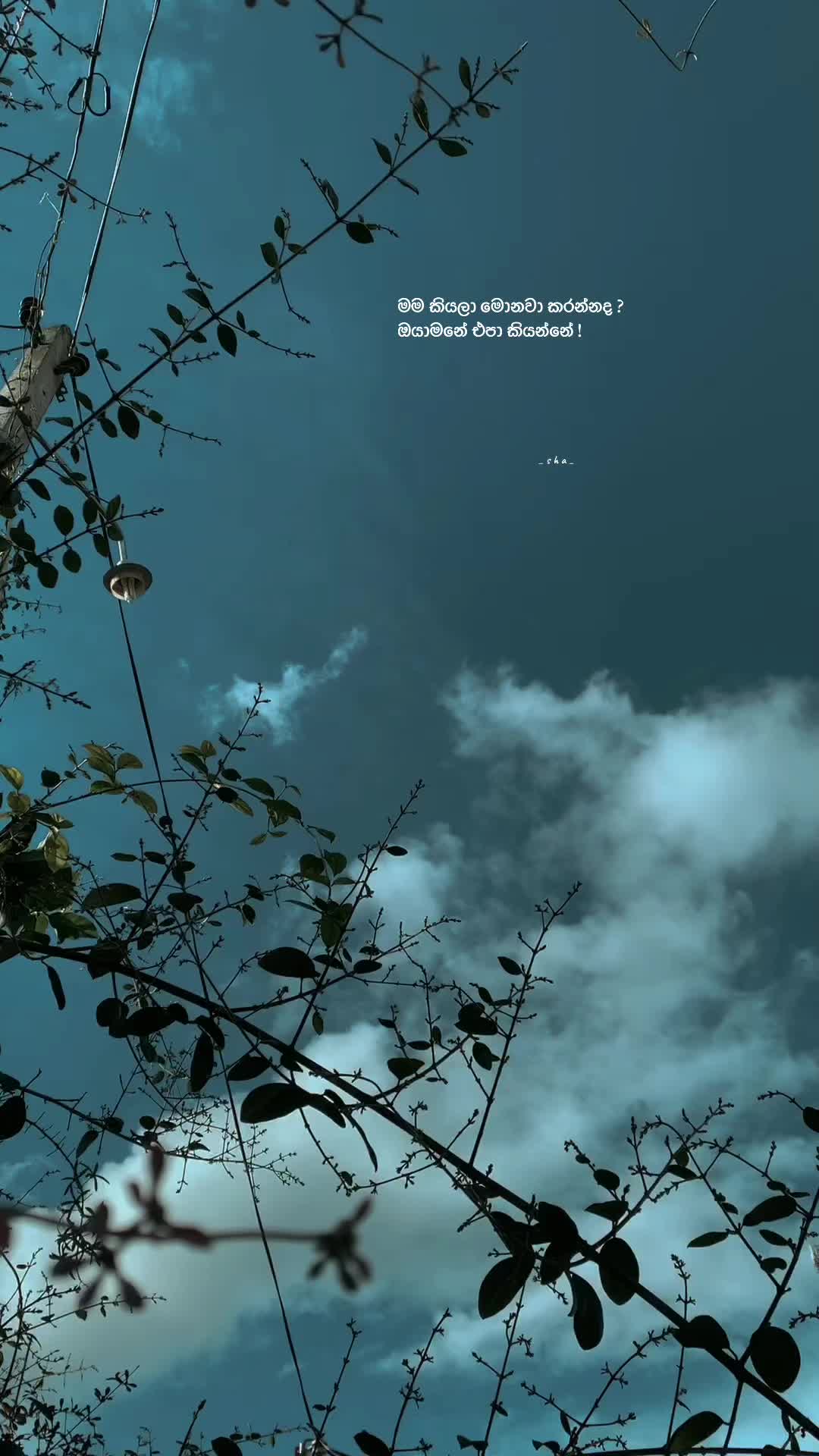 @𝗦>