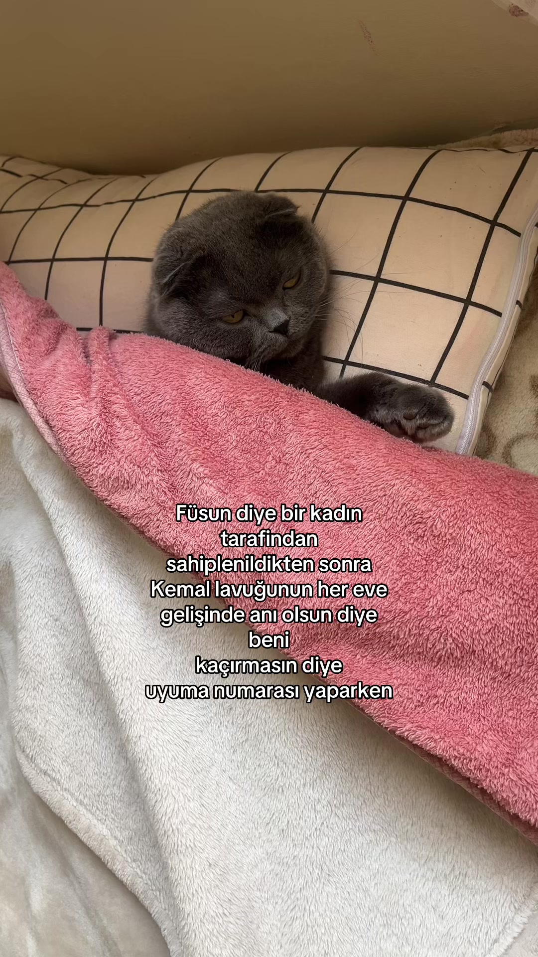 @Rumolog