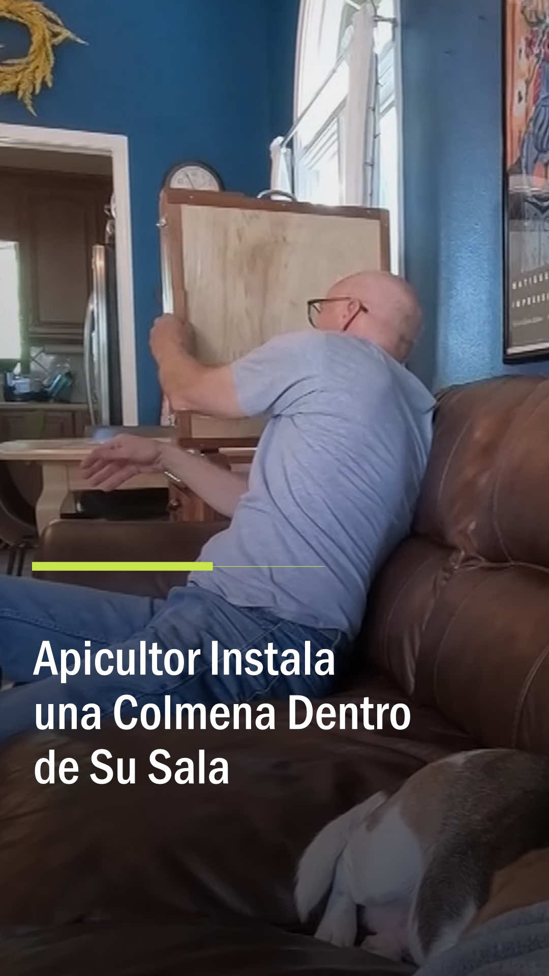 @Primer Impacto