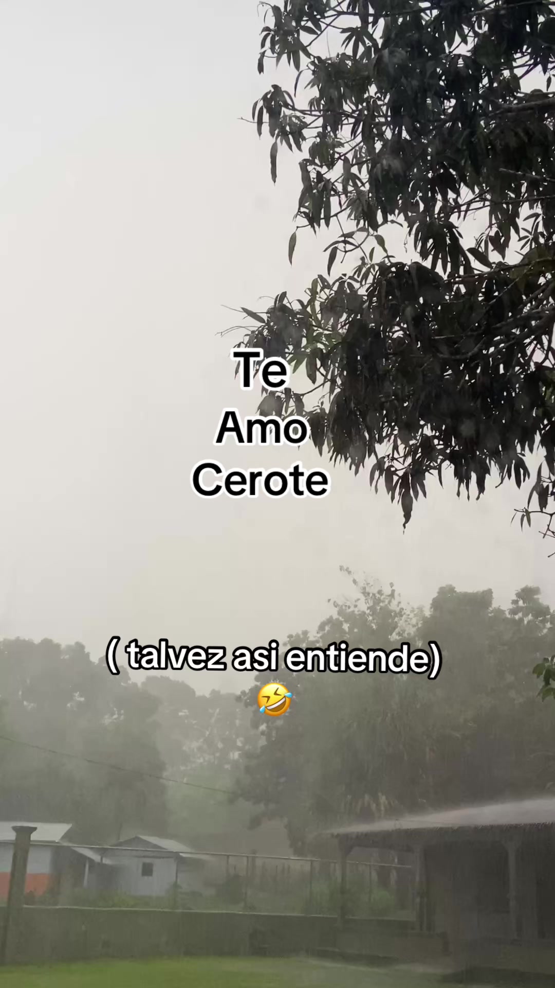 @🫶shamila:🎶